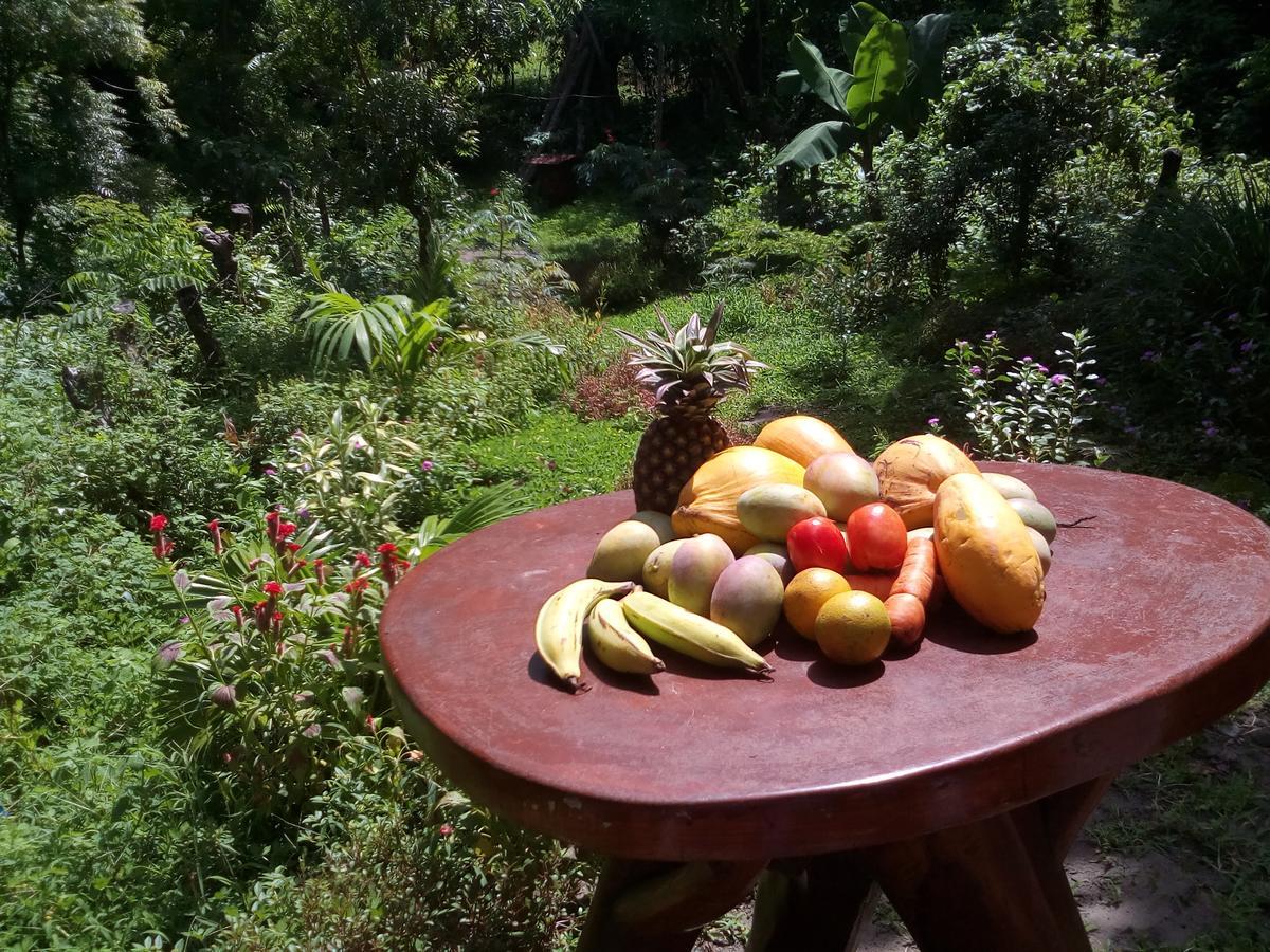 Beach Cabin Ometepe Altagracia Ngoại thất bức ảnh